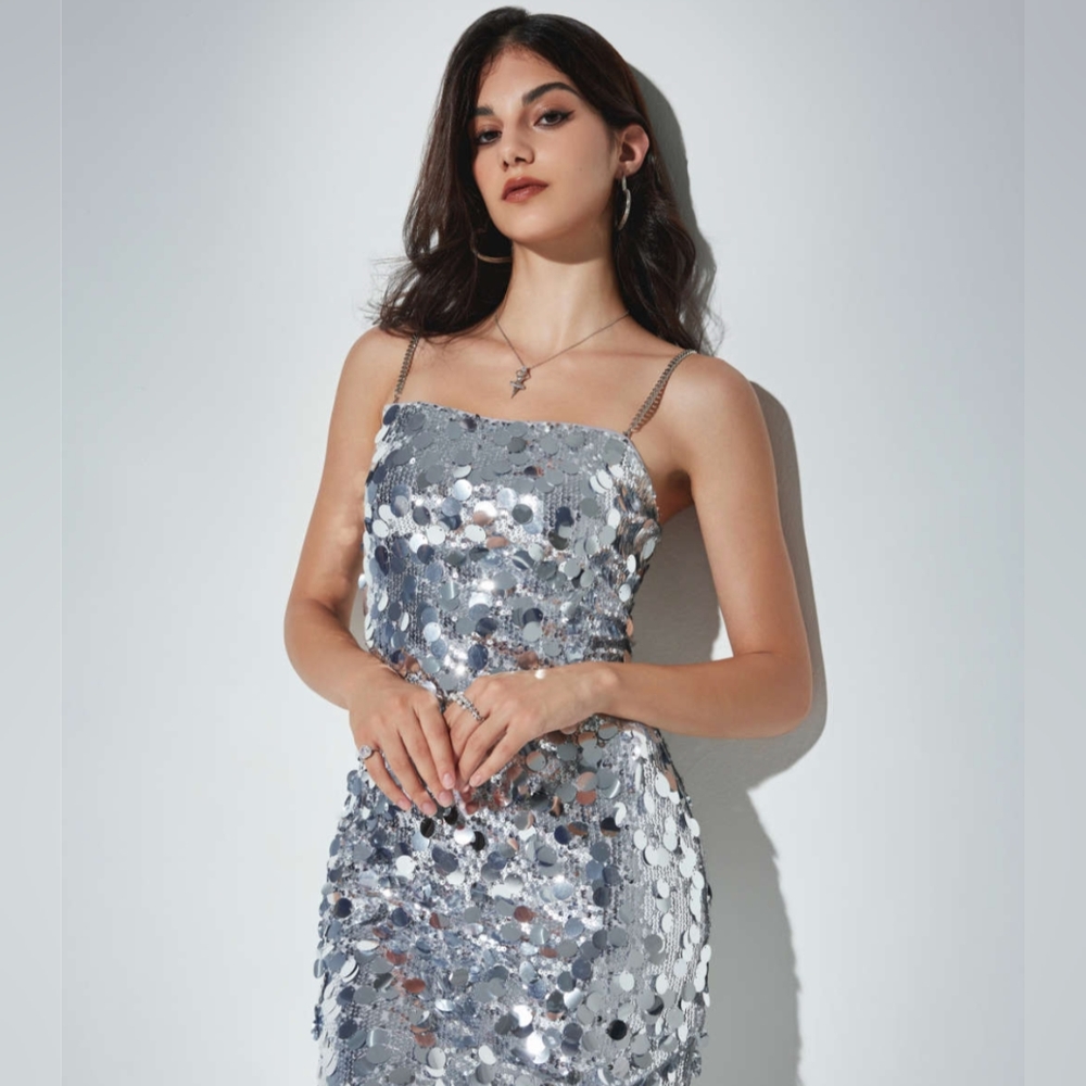 Brand New with Tags Cider XL Silver Sequin Dress